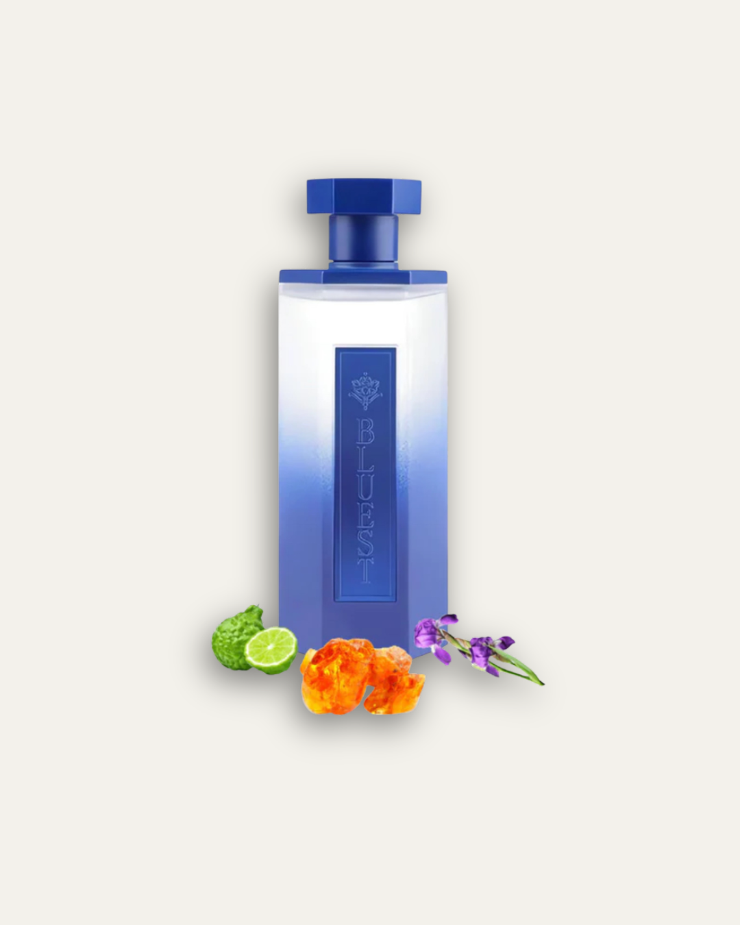 Bluest 200ml EDP by Reef